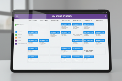 12-week recovery program calendar